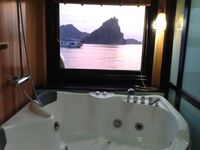 Bathroom with view